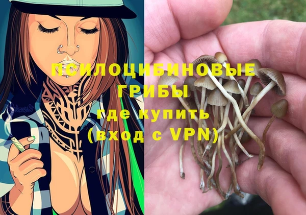 метадон Аркадак